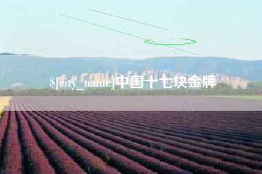 中国台湾中国十七块金牌