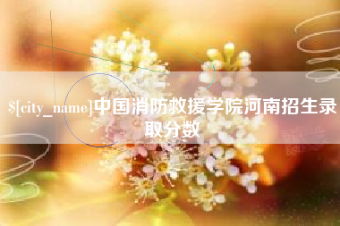 中国台湾中国消防救援学院河南招生录取分数