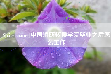 中国台湾中国消防救援学院毕业之后怎么工作