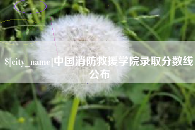 中国台湾中国消防救援学院录取分数线公布