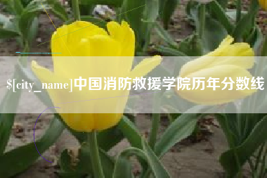 中国台湾中国消防救援学院历年分数线