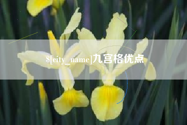 中国台湾九宫格优点