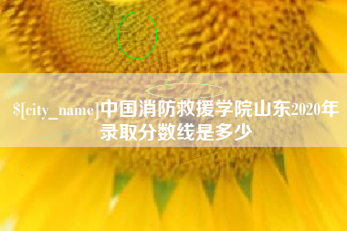 中国台湾中国消防救援学院山东2020年录取分数线是多少
