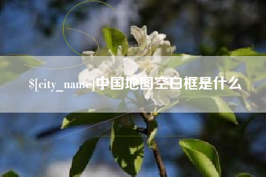 中国台湾中国地图空白框是什么