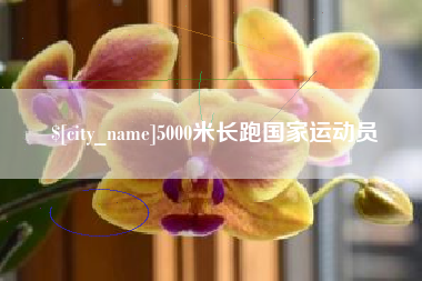 中国台湾5000米长跑国家运动员