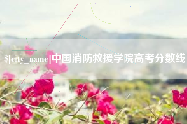 中国台湾中国消防救援学院高考分数线