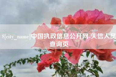 中国台湾中国执政信息公开网-失信人员查询页