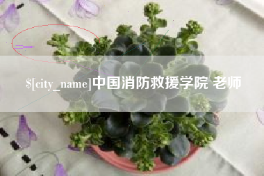 中国台湾中国消防救援学院 老师