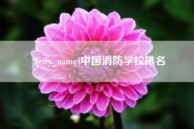 中国台湾中国消防学校排名