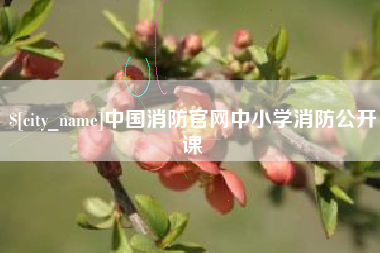 中国台湾中国消防官网中小学消防公开课