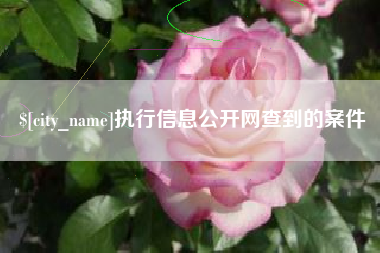 中国台湾执行信息公开网查到的案件