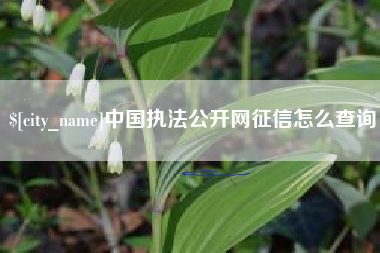 中国台湾中国执法公开网征信怎么查询