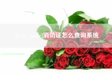 中国台湾消防证怎么查询系统