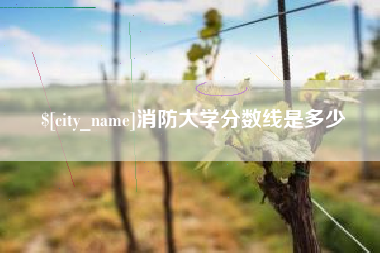 中国台湾消防大学分数线是多少