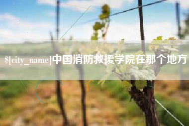 中国台湾中国消防救援学院在那个地方
