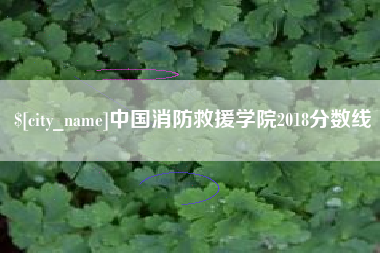中国台湾中国消防救援学院2018分数线