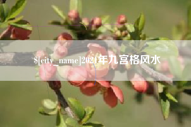 中国台湾2021年九宫格风水