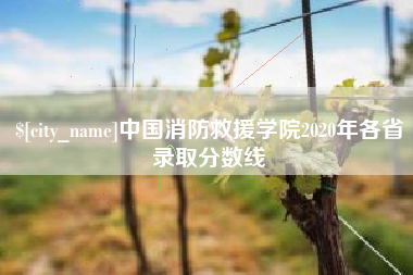 中国台湾中国消防救援学院2020年各省录取分数线