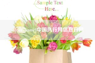中国台湾中国执行网信息官网