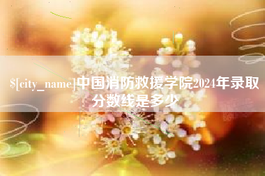 中国台湾中国消防救援学院2024年录取分数线是多少