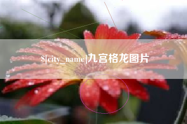 中国台湾九宫格龙图片