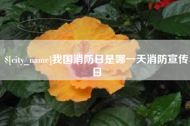 中国台湾我国消防日是哪一天消防宣传日