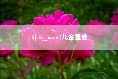 中国台湾九金是谁