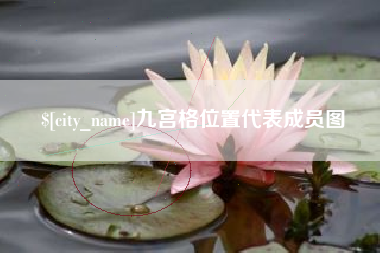 中国台湾九宫格位置代表成员图
