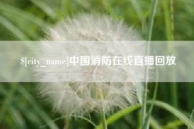中国台湾中国消防在线直播回放