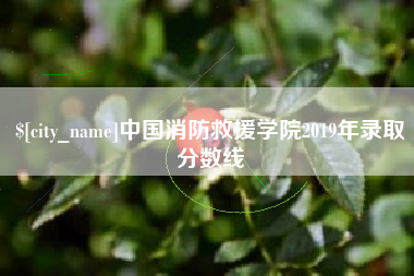 中国台湾中国消防救援学院2019年录取分数线