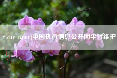 中国台湾中国执行信息公开网平台维护