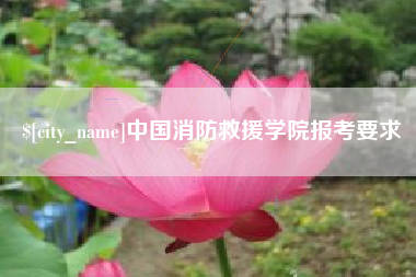 中国台湾中国消防救援学院报考要求