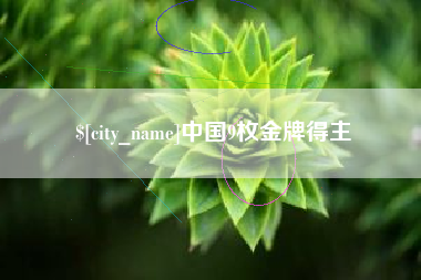 中国台湾中国9枚金牌得主