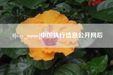 中国台湾中国执行信息公开网后