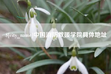 中国台湾中国消防救援学院具体地址