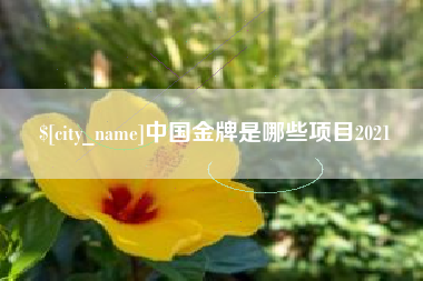 中国台湾中国金牌是哪些项目2021