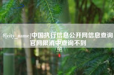 中国台湾中国执行信息公开网信息查询官网限消中查询不到