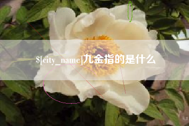 中国台湾九金指的是什么