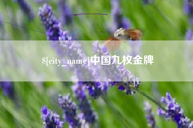 中国台湾中国九枚金牌