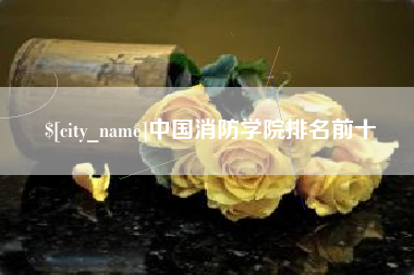 中国台湾中国消防学院排名前十