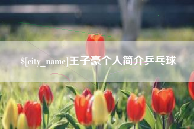 中国台湾王子豪个人简介乒乓球