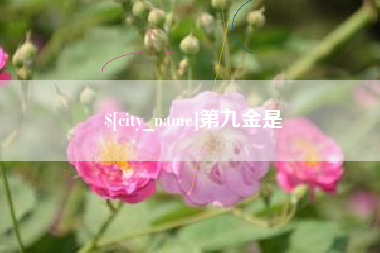 中国台湾第九金是