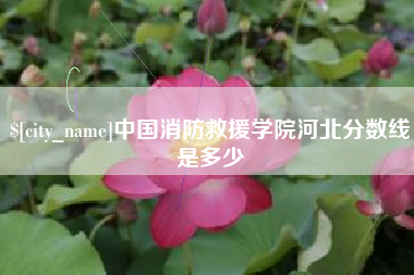中国台湾中国消防救援学院河北分数线是多少