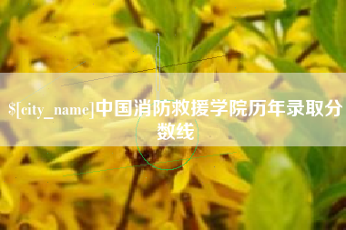 中国台湾中国消防救援学院历年录取分数线