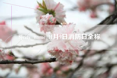 中国台湾11月9日消防日全称