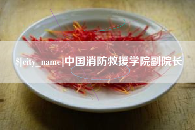 中国台湾中国消防救援学院副院长