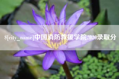 中国台湾中国消防救援学院2020录取分