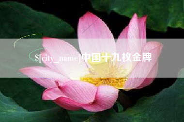 中国台湾中国十九枚金牌