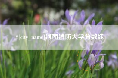 中国台湾河南消防大学分数线