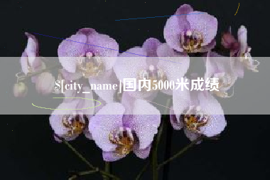 中国台湾国内5000米成绩